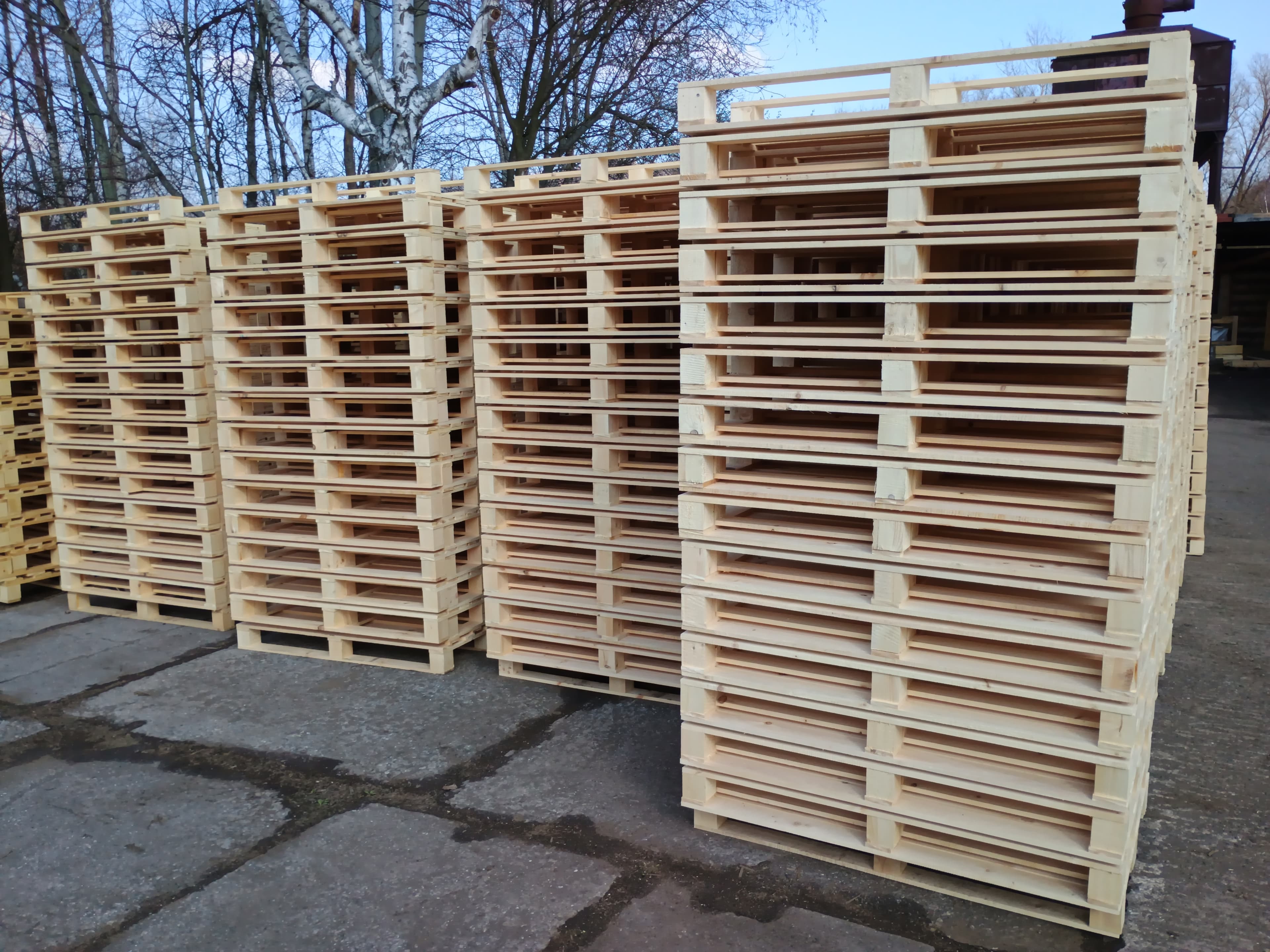 Tall stacks of new, light-colored wooden pallets arranged in rows on a paved outdoor lot.