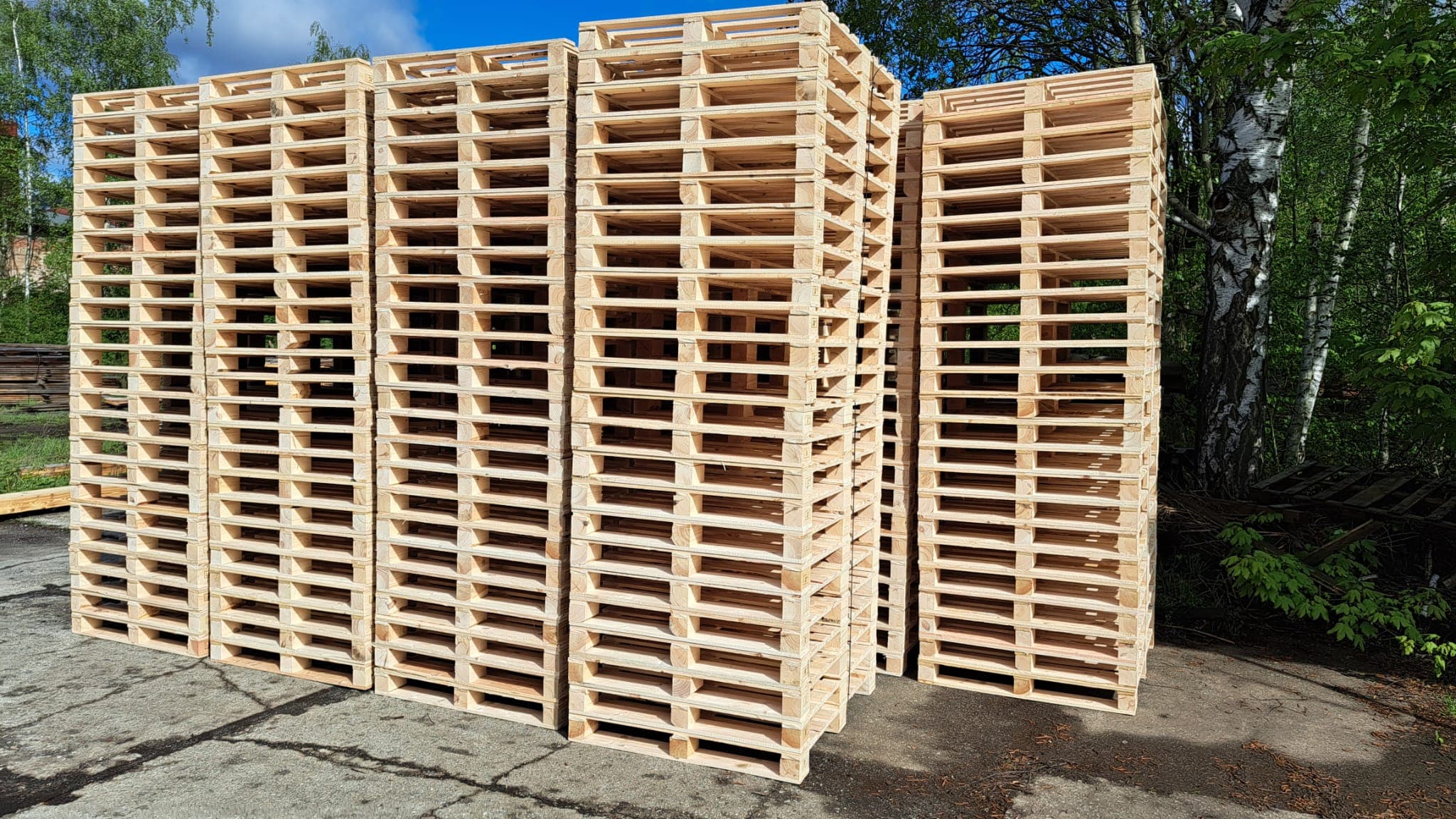 Tall stacks of new light-colored wooden pallets neatly arranged outdoors on a paved surface.